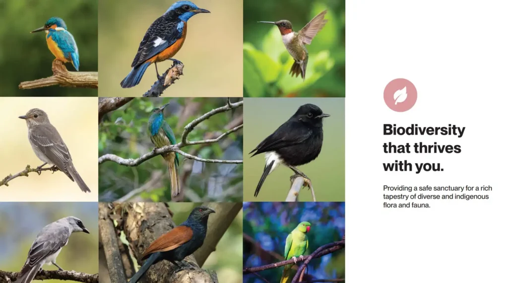 Assetz Palmscape Plots biodiversity by Assetz Property Group located at IVC Road, Devanahalli, Bangalore Karnataka